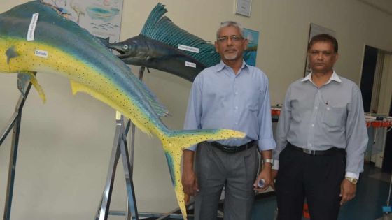 Louis Lindsay Mootoosamy, de l’Albion Fisheries Research Centre : « Il n’y a pas assez de pêcheurs »