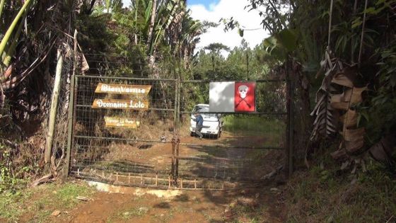 Cour intermédiaire : loup jugé coupable de chasse illégale de cerf