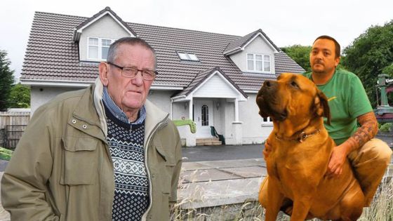 Passeur de drogue à Maurice : 82 plants de cannabis retrouvés chez son père en Écosse