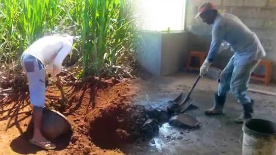 Confinement : ce maçon profite de l’ordre alphabétique «pou tras so lavi»