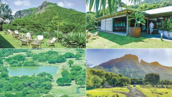 La réserve de Yemen se révèle