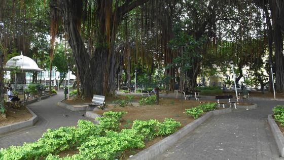 Au Jardin de la Compagnie à Port-Louis : un Bangladais dépouillé par une travailleuse du sexe