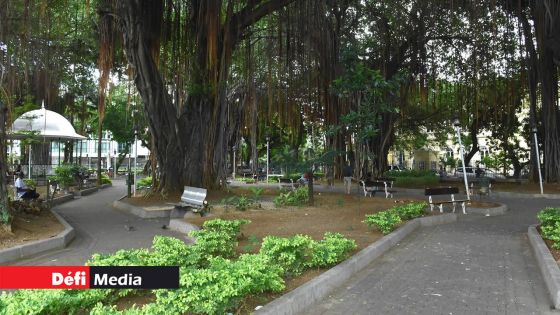 Port-Louis : le corps d’un nourrisson retrouvé dans un sac plastique près du Jardin de la Compagnie