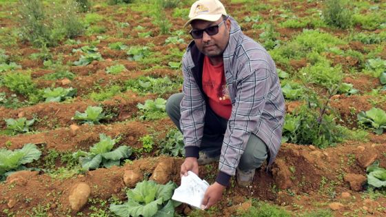 Amarjeet Beegoo : un diplômé en droit qui s’est tourné vers la terre