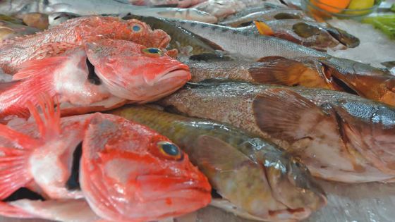 Poissons frais : le prix augmente de 10 % à 15 %