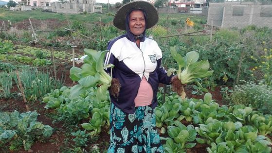 Agro-industrie : cultiver l’autosuffisance alimentaire