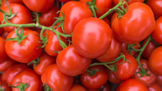 La pomme d’amour devrait se maintenir à Rs 15 le demi-kilo