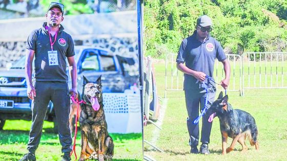 Mika Dowlut : le maître des chiens