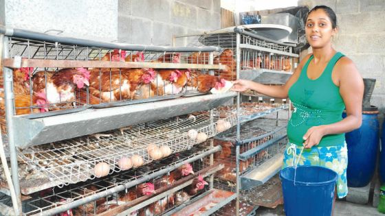 Soutien communautaire : s’éclore grâce à l’élevage et l’agriculture