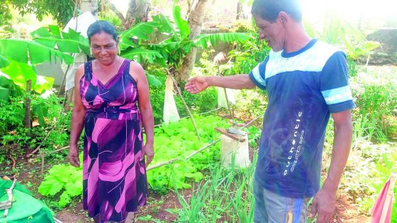 Kumari et Pierre-Noël : la vie en compagnie de trois animaux incroyables