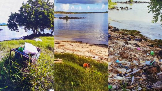 À Choisy, Poste-de-Flacq : une plage laissée pour compte devient un dépotoir