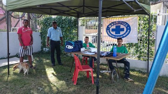 Campagne de stérilisation : des chiens errants prennent d’assaut des hôtels du Nord