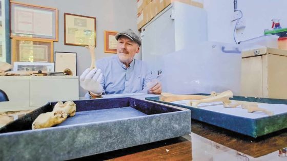 Des os de dodo surgissent d’une chasse… d’escargots !