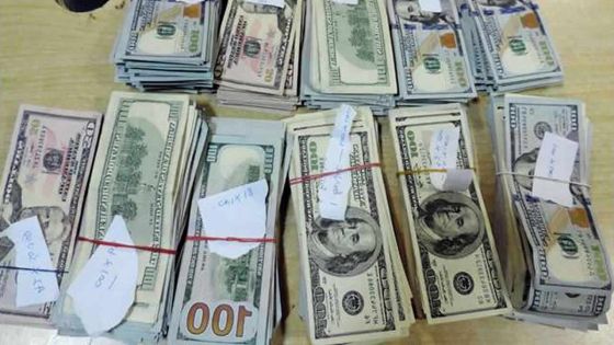 Un chien-renifleur qui traque les dollars et les euros