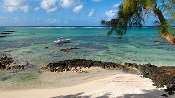 Plage de Roches-Noires : le comblement de la plage avec du sable noir déplaît