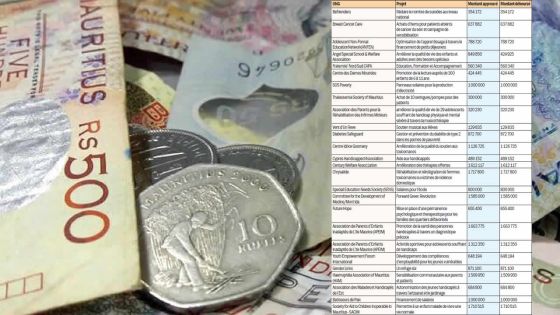 [Document] Travail social : Rs 201,8 millions pour 230 projets des ONG