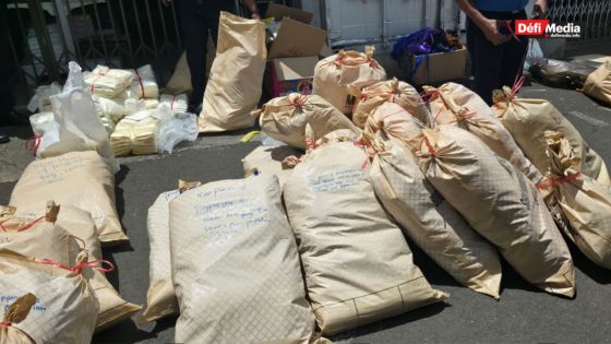 Pamplemousses : saisie de 92 500 sacs et produits plastiques interdits