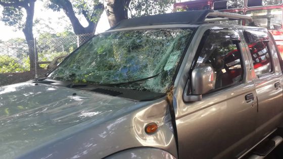 Une branche tombe sur sa voiture, il réclame justice