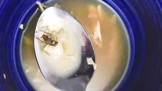 Un cafard retrouvé dans une soupe