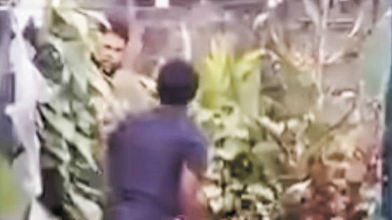 Tentative de viol sur une sexagénaire - Les habitants d’Alma dénoncent Jeremy Leste : «Sa garson-la pa fou !»