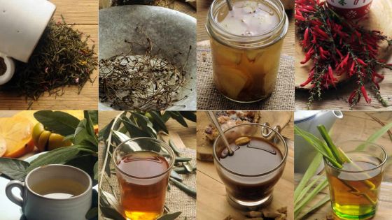 Santé : bientôt une loi pour réglementer l’importation des médicaments traditionnels