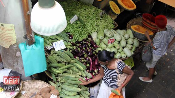 Les maraîchers réclament une aide financière à l’État
