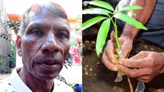 Des mains magiques pour le bouturage