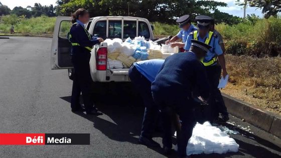 Sacs Non-Biodégradables : une Importante cargaison écoulée illégalement
