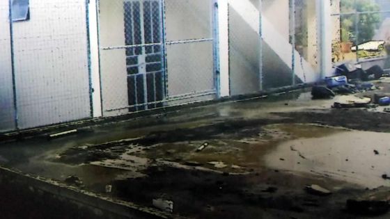 Problème de voisinage : un enfant joue sur le toit sans surveillance