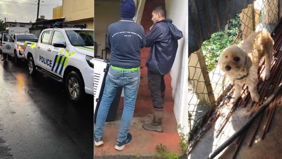 Maltraitance animale : la MSAW serre la vis face aux nombreuses plaintes