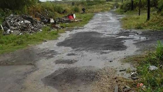 Asphaltage de Cremation Avenue no 1 : dix ans de combat