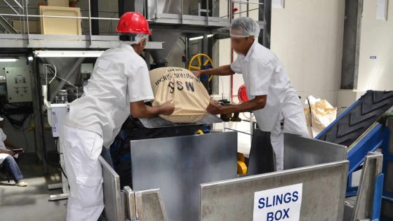 Sur le marché international : le prix du sucre pourrait replonger en 2018