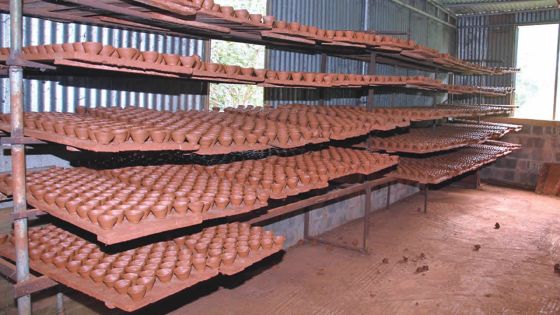 Divali : entre guirlandes et lampes de terre