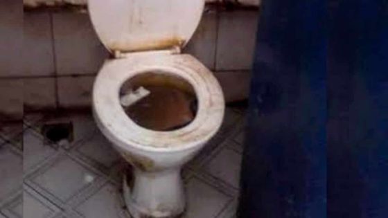 À Port-Louis : des camionneurs déplorent l’état des toilettes 