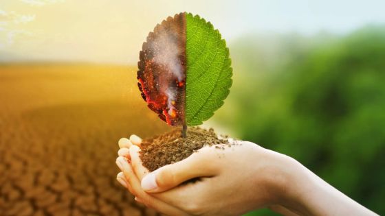 COP 26 : quel est l’enjeu pour Maurice ? 