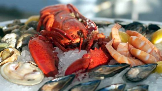 Fruits de mer : les prix ne baisseront pas cet été