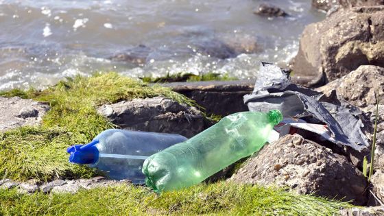 Financement climatique : Maurice a besoin de 264 M de dollars par an