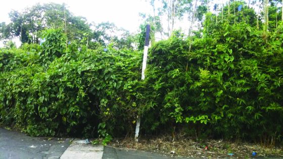 À Curepipe : une signalétique défectueuse