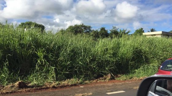 Terrains en friche : 200 propriétaires sanctionnés