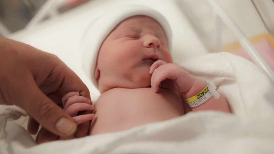 Démographie : le taux de natalité en hausse