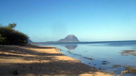 Les Salines Koënig : 5 hôtels mis en chantier à Rivière-Noire début 2017