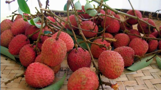 Letchis : la récolte baisse de 70%