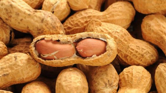 Consommation - Pistaches : Rs 60 le demi-kilo