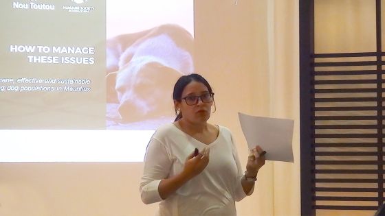 Stérilisation des chiens errants : une collaboration avec le gouvernement primordiale, selon Humane Society International