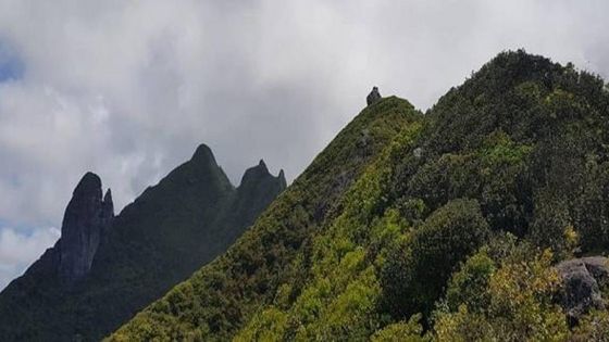 Montagne Le Chat et La Souris : trois randonneurs font une chute