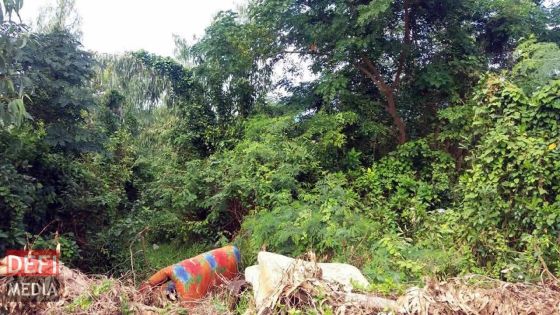 Maisons/ terrains abandonnés : quelle solution ?