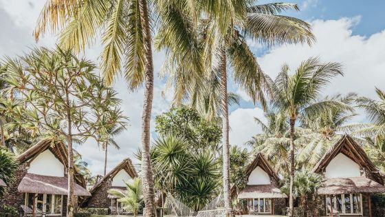 Hôtellerie : SUN renoue avec la profitabilité au dernier trimestre 