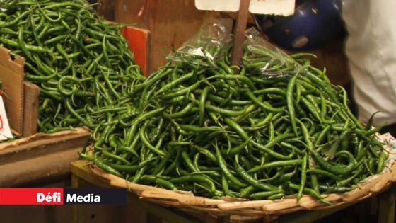 Des piments livrés à Rs 25 vendus à Rs 125 le demi-kilo sur le marché, selon la Small Planters Association