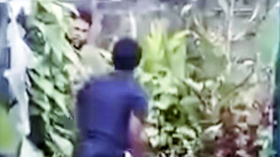 Tentative de viol envers une sexagénaire à Alma - un proche : «Perver koumsa pa kapav marse dan lari pou atak fami dimounn»