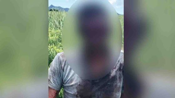 Belle-Rive : un chauffeur de taxi sauvagement agressé, sa voiture volée